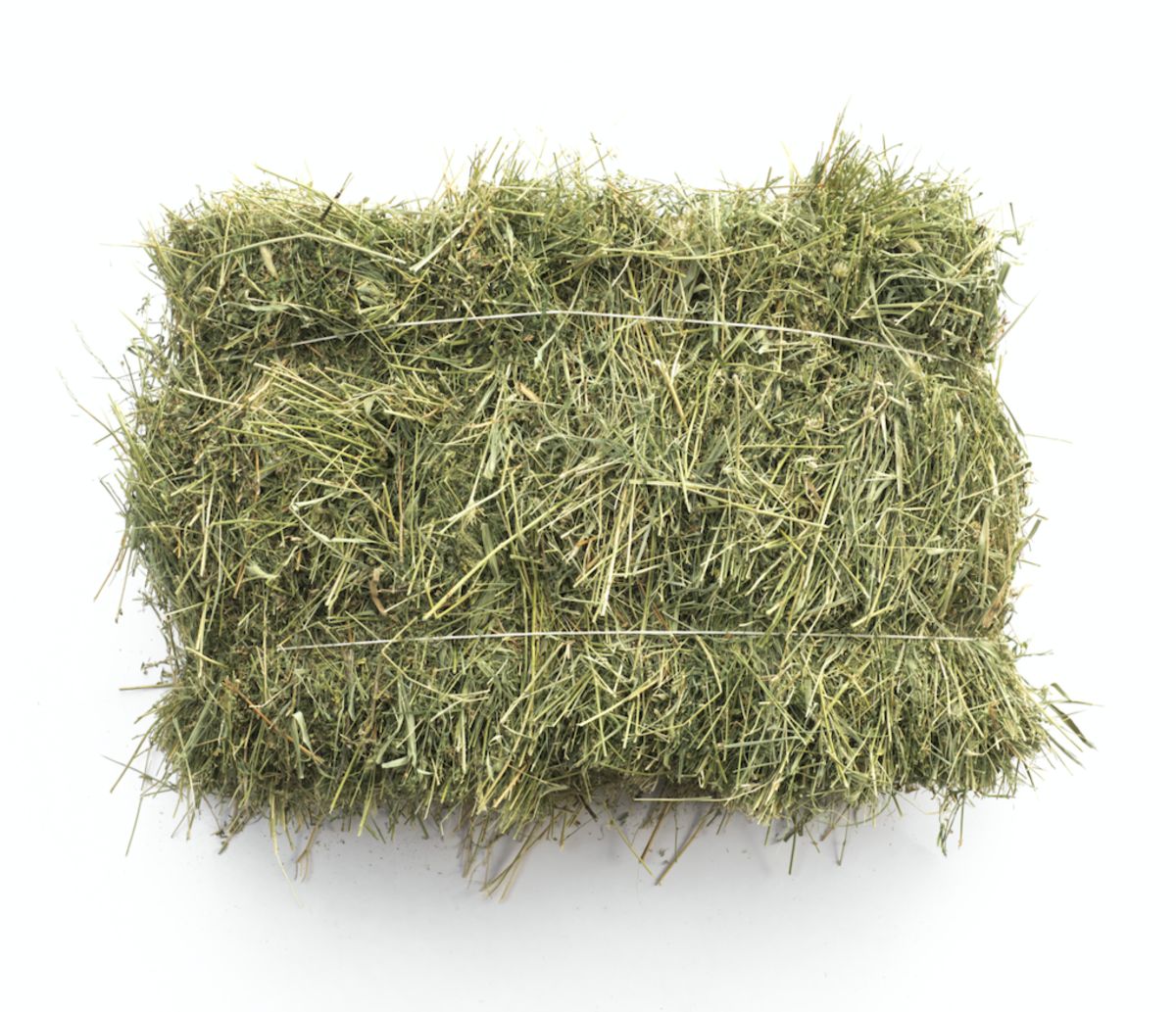 Feed Crops