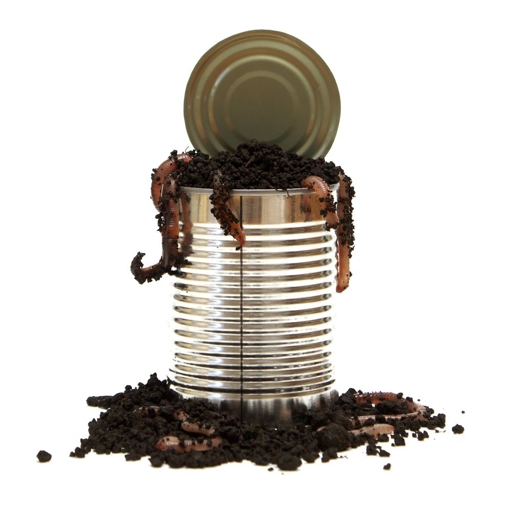 Vermiculture
