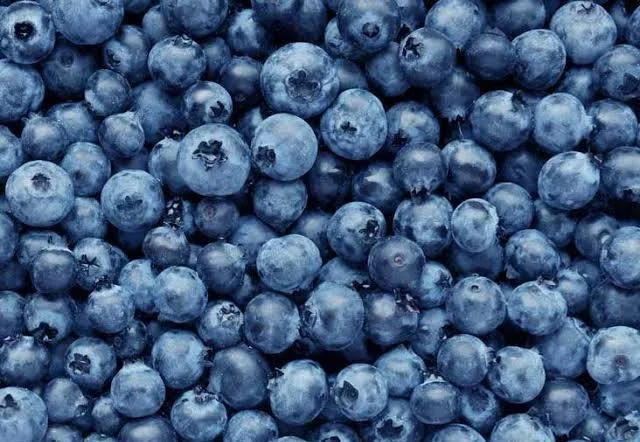 Blueberries