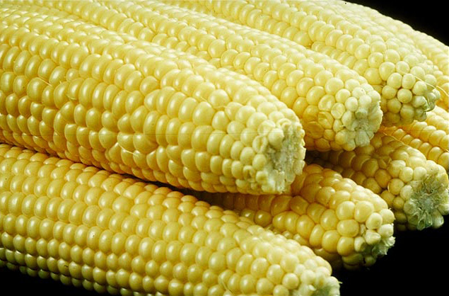 sweet Corns