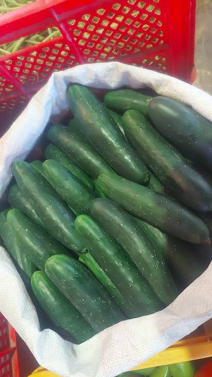 Cucumber